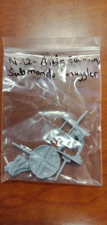 Buyer photo of this resin kit
