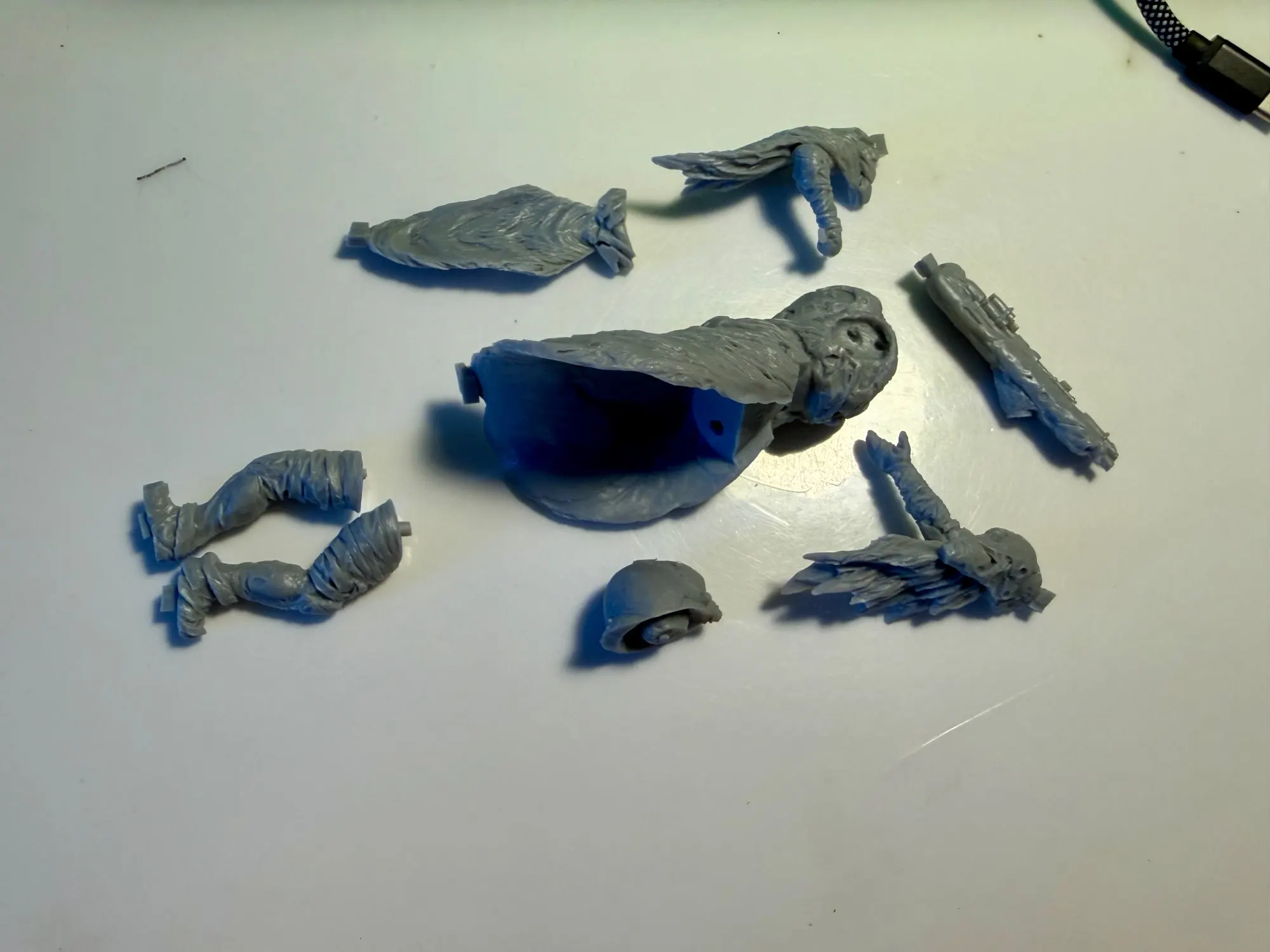 Buyer photo of this resin kit