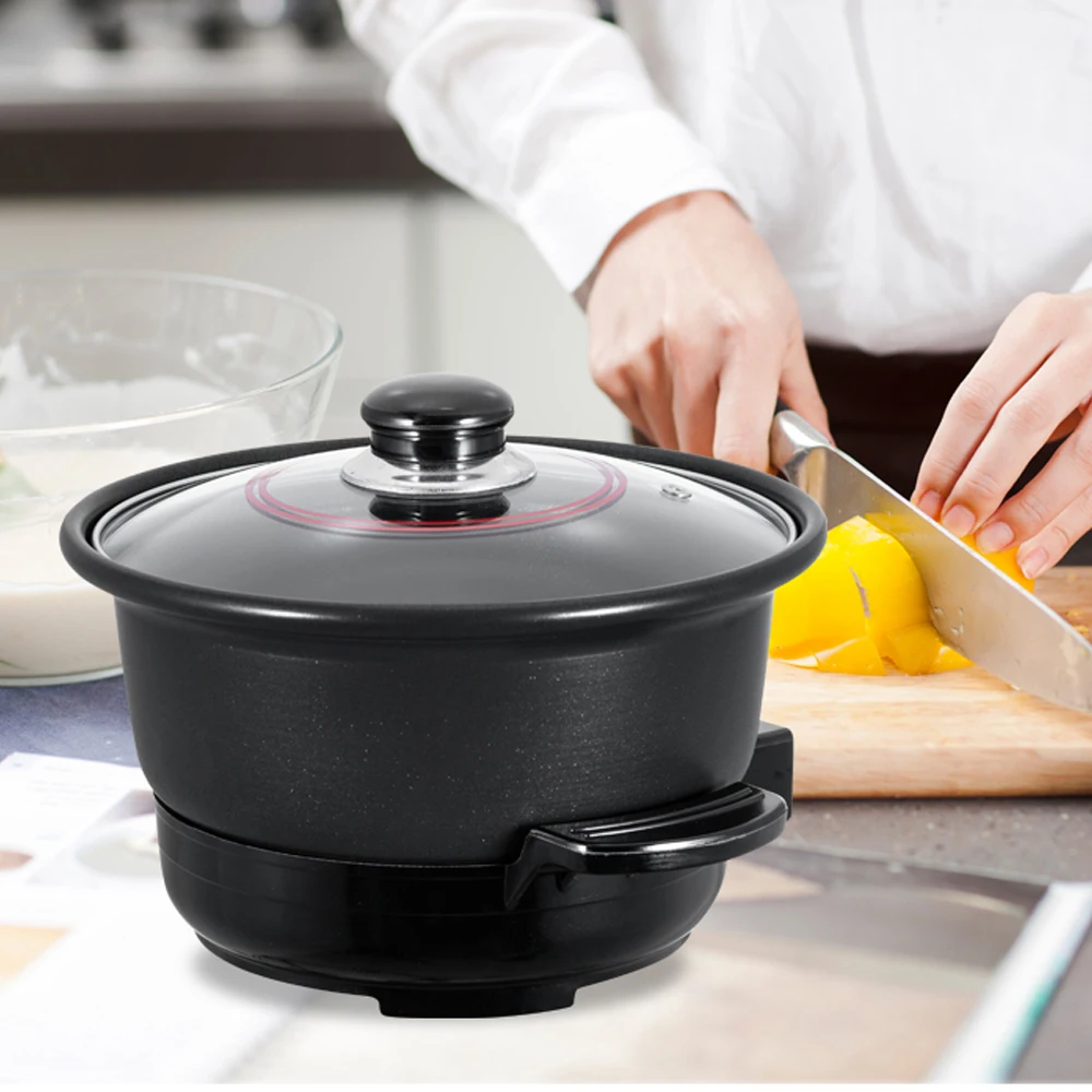 Multi Cooker Electric Cooker DW-066WSP