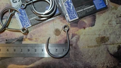 Imagen de reseña 5