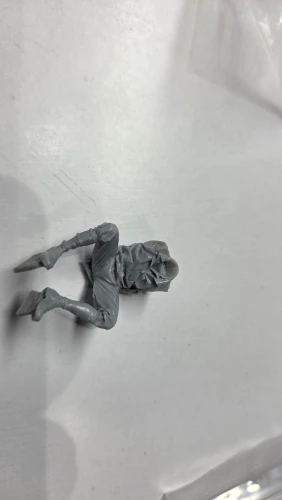 Buyer photo of this resin kit