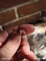 Imagen de reseña 3