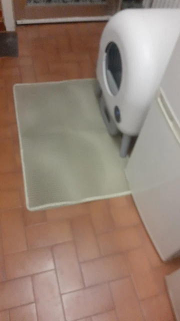 Customer review photo for Honeycomb Cat Litter Mat