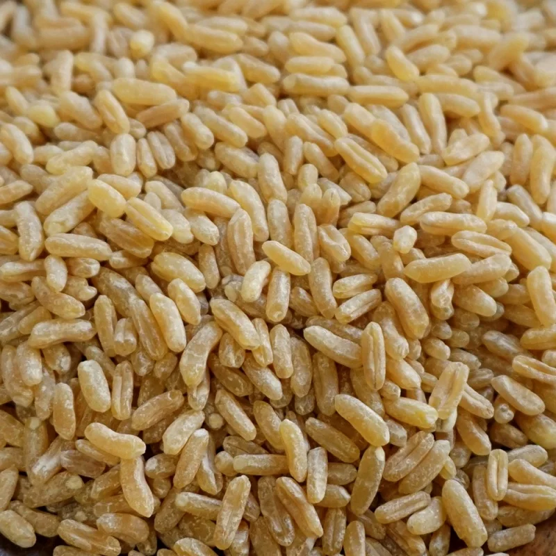 Hora Mountain Wheat-paquete pequeño con cremallera, 500g x 2 Band L, grano antiguo, arroz egipcio, súper comida, grano L