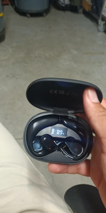 Language Translator Earbuds photo review