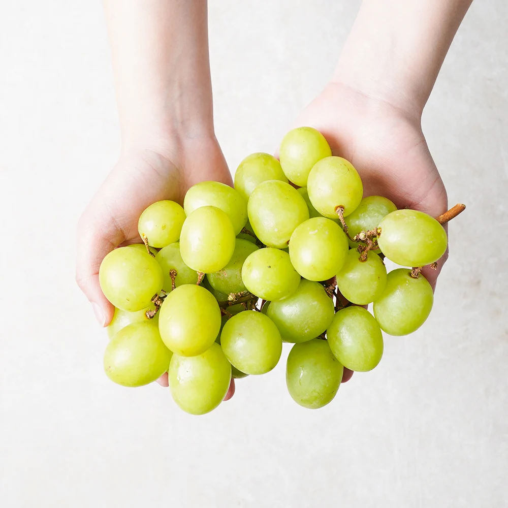 Crisp and Juicy Seedless Grapes with the Taste and Aroma of Apples - Chile Autumn Crispy 800g