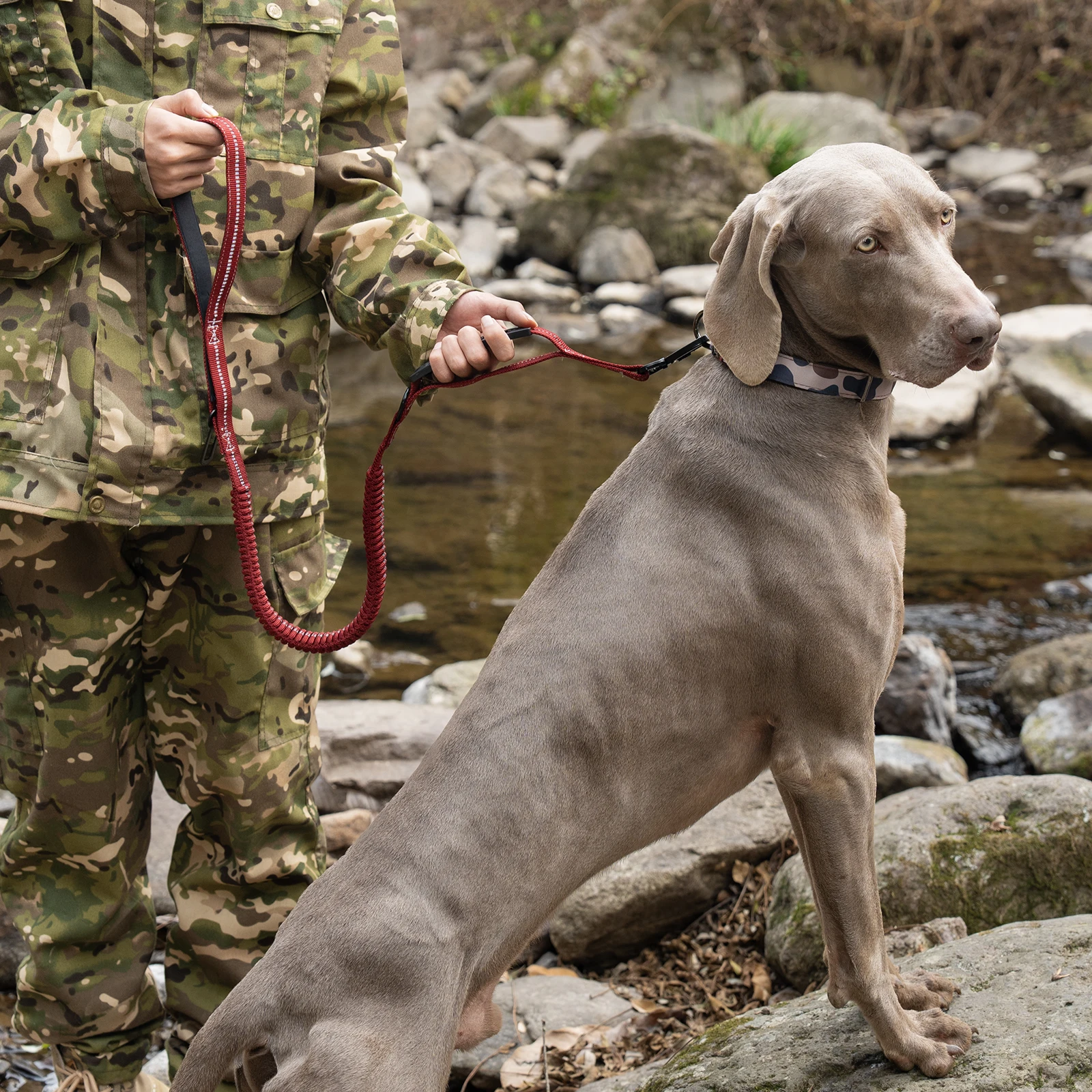 Taktische Hundeleine Robuste Reflektierende Starke Anti-Zug Bungee-Leine für Mittelgroße und Große Hunde mit Komfortablem Gepolstertem Doppelgriff – Detail 20