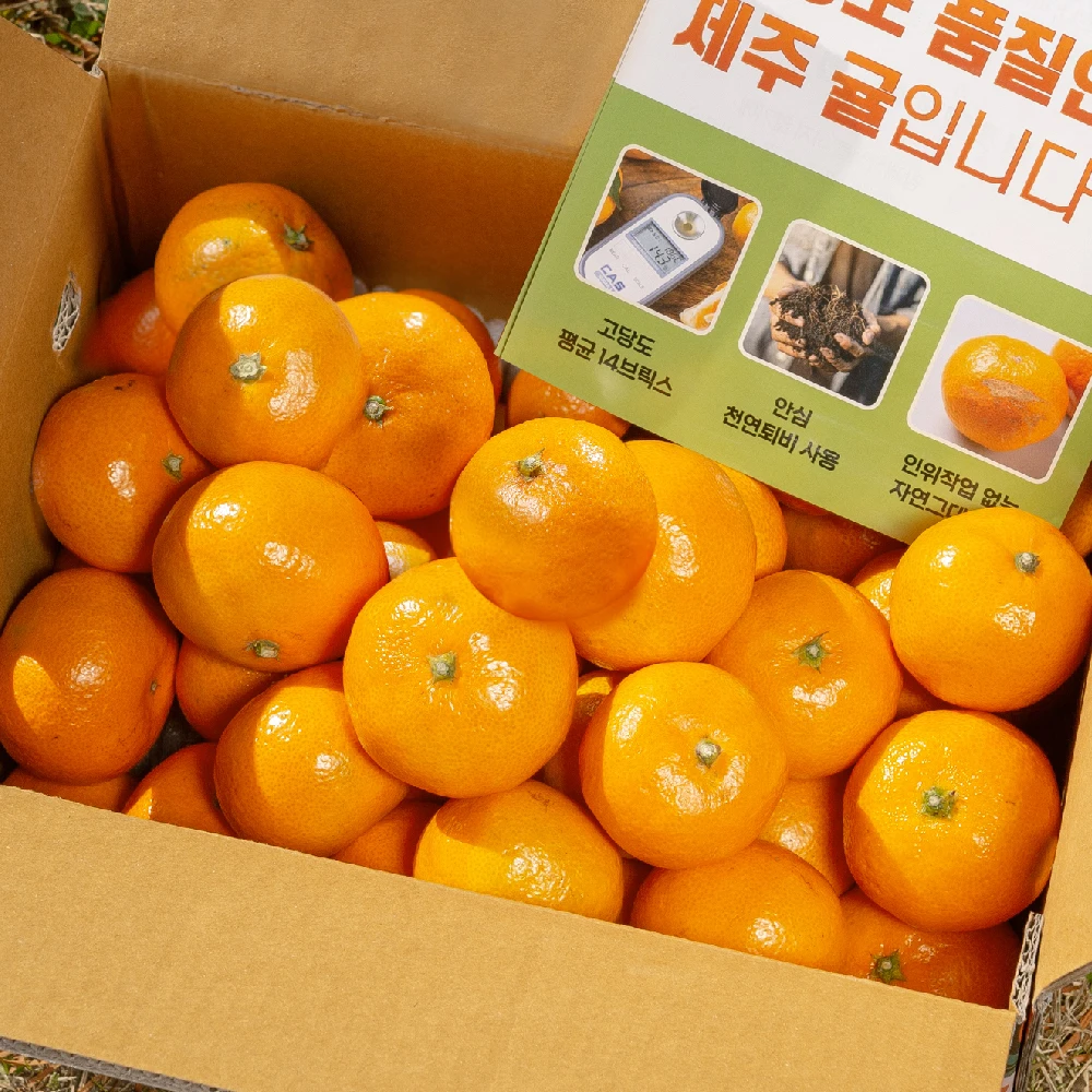 Jeju Citrus Tangerine Noe House Fruit 5kg