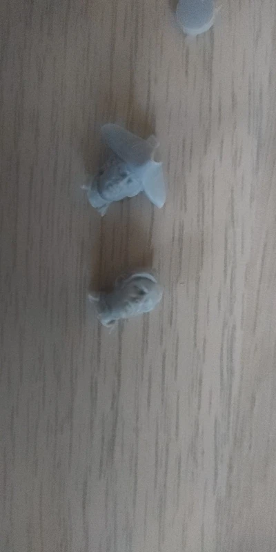 Buyer photo of this resin kit