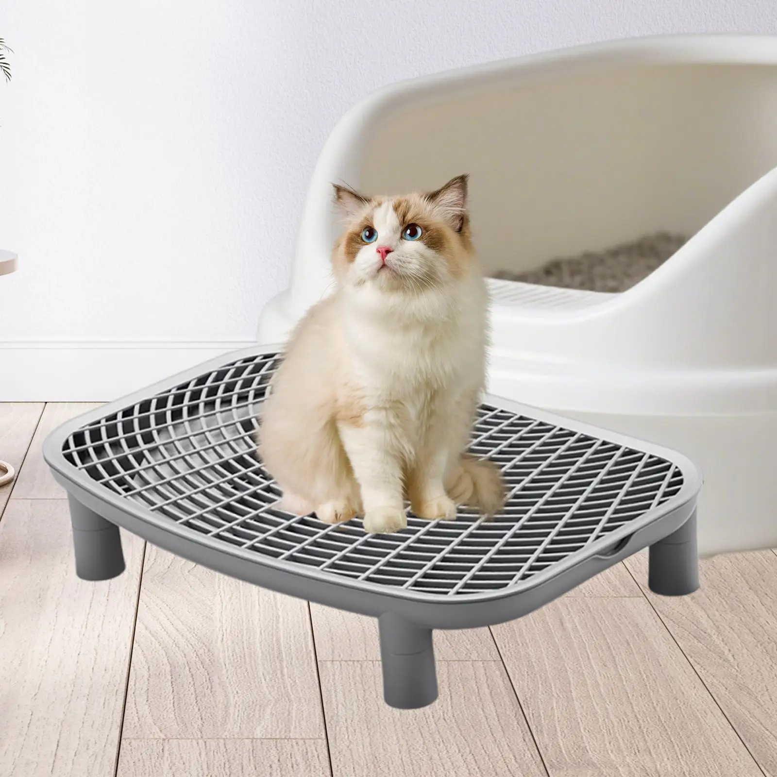 Thumbnail 4 - #31 Trending Cat Litter Boxes Right Now