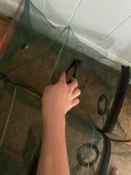 Imagen de reseña 2