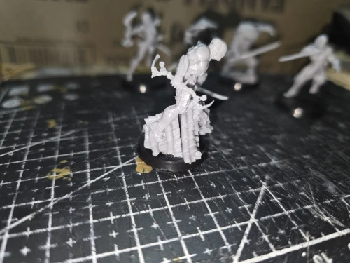 Buyer photo of this resin kit