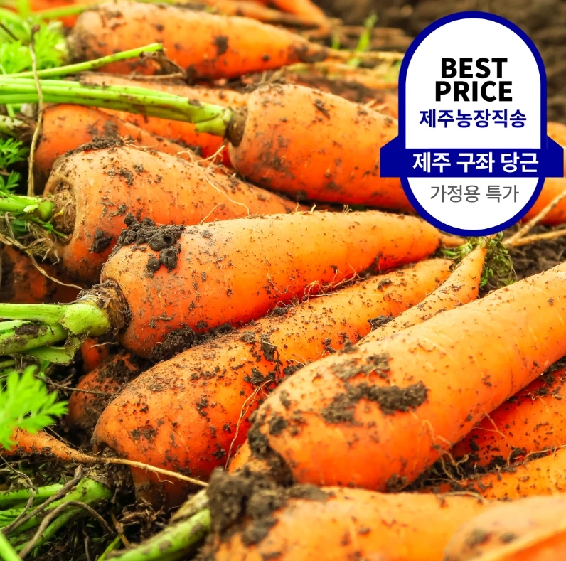 ★ Aliexpress precio más bajo ★ Zanahorias Jeju Gujwa, Zanahorias frescas, tamaño mediano