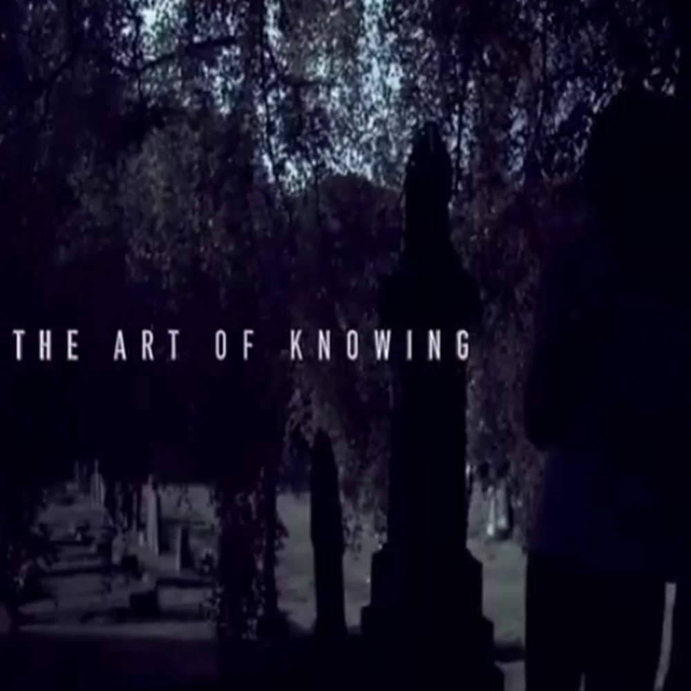 AOK (Art of Knowing) by Lewis Le Val (Instant Download)