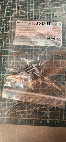 Buyer photo of this resin kit