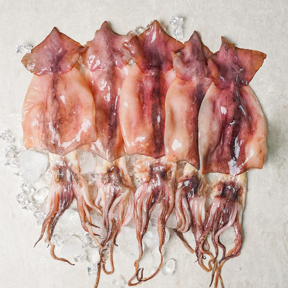 Soft, Chewy, and Tender Moist Delicacy, Half-Dried Squid 5 Pieces (Special Grade/Approximately 850g)