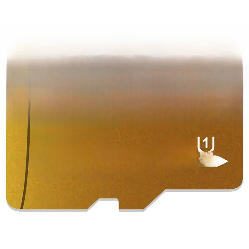 Karta pamięci 16GB 32GB karta Mini SD 64GB 128GB 256GB MiniSD Max Uitra C10 karta TF cartao de memoria do monitorowania telefonów komórkowych — zdjęcie 2