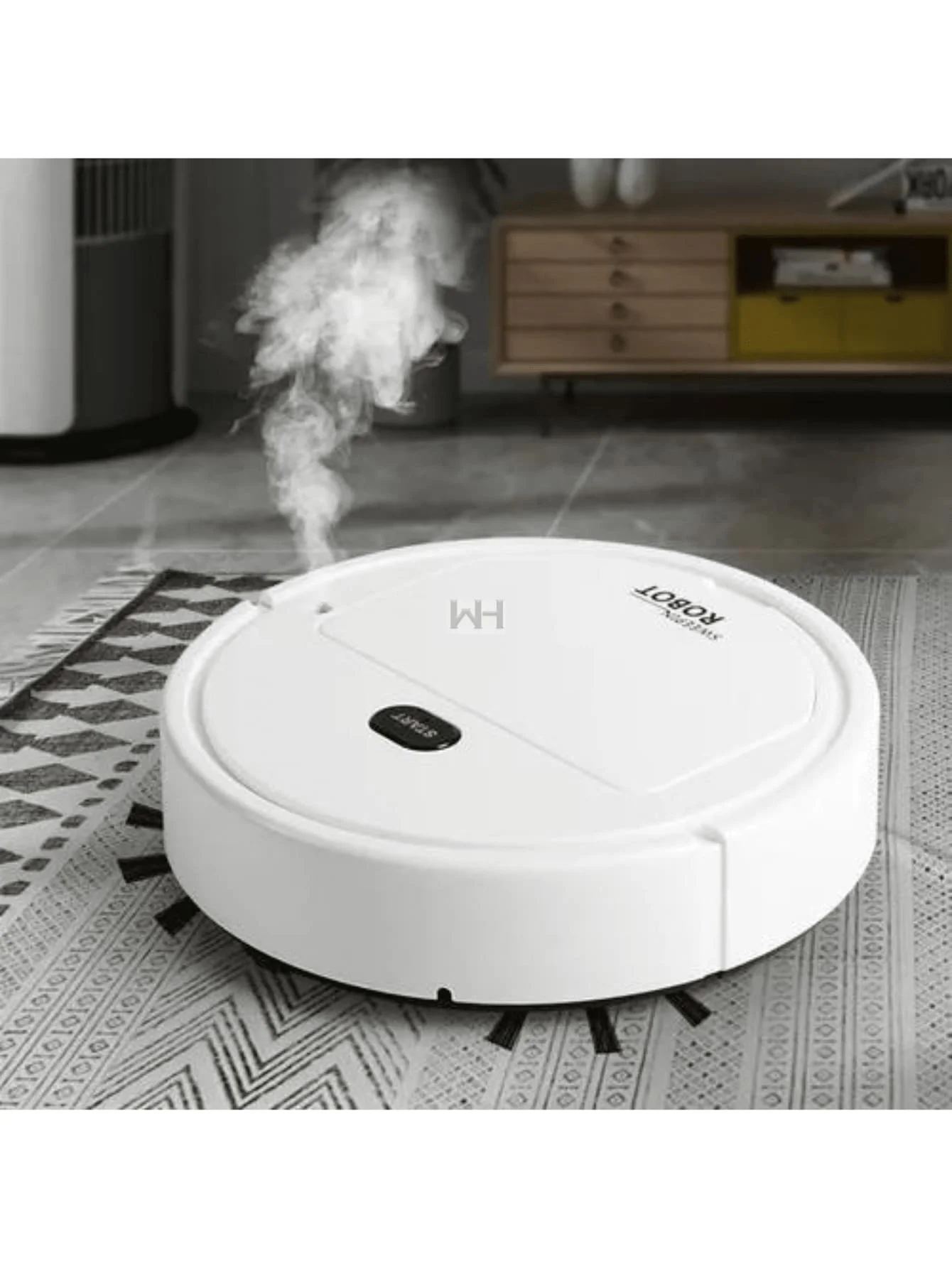 Robot vacuum cleaner, cleaning machine