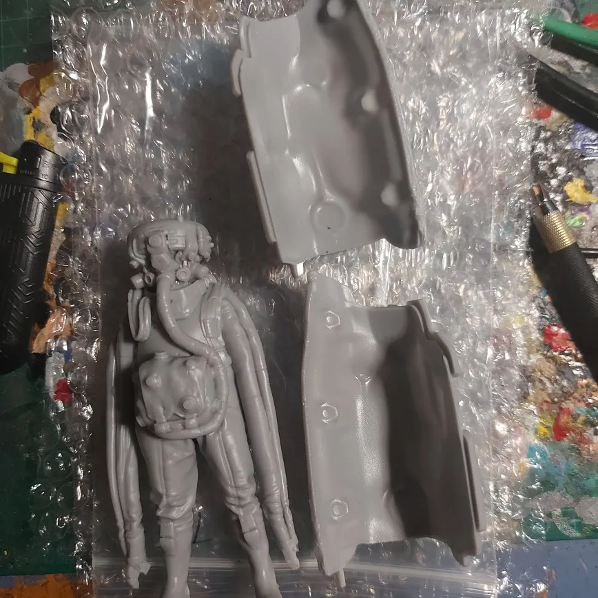 Buyer photo of this resin kit