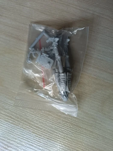 Buyer photo of this resin kit
