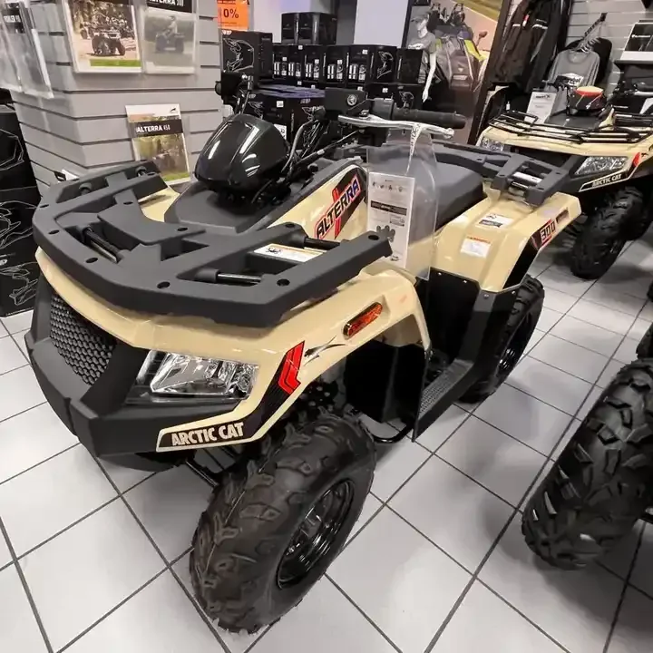 2023 ARCTIC CAT ALTERRA 300