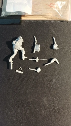 Buyer photo of this resin kit