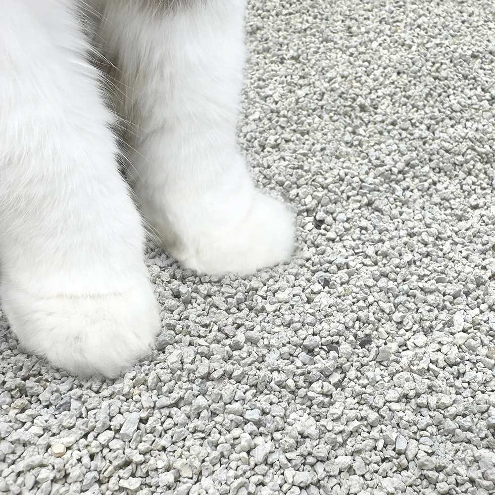 마이티펫 응고력좋은 대용량 고양이모래 벤토나이트 파쇄형 볼타입 파우더향 무향 10L* 2입 - 1