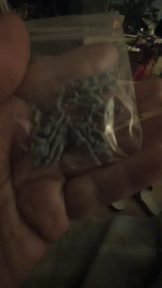 Buyer photo of this resin kit