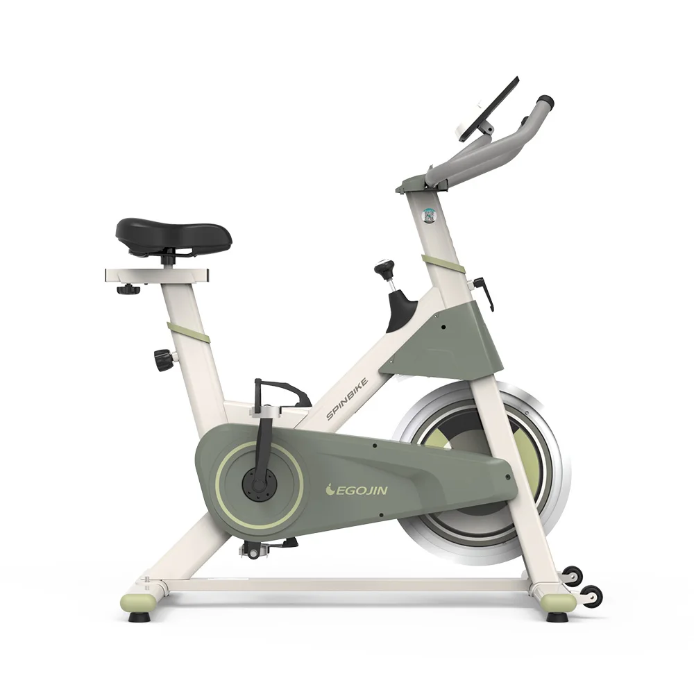 EGOJIN 617S Spin Indoor Exercise Bike Spinning Cycle