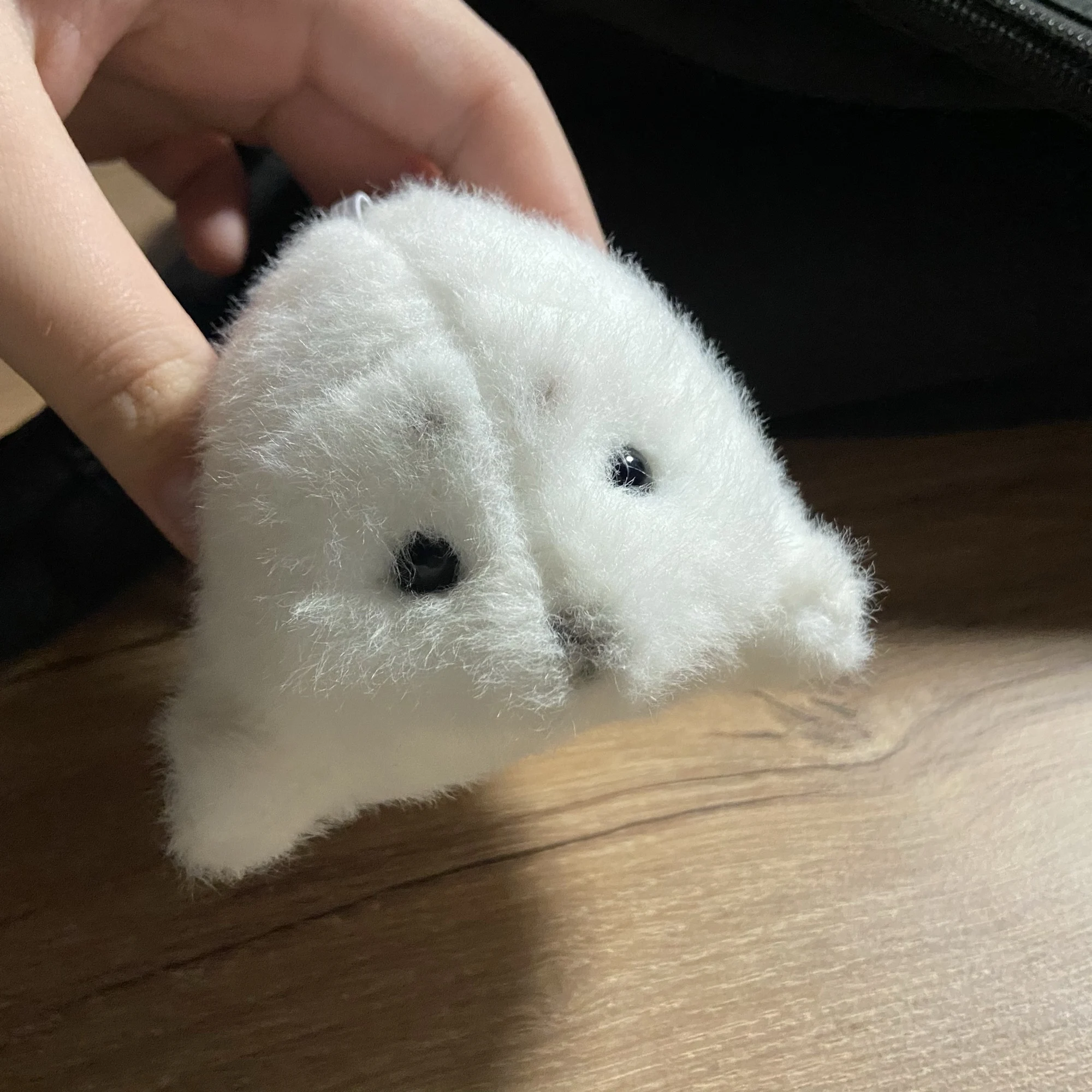 실물 포토 리뷰