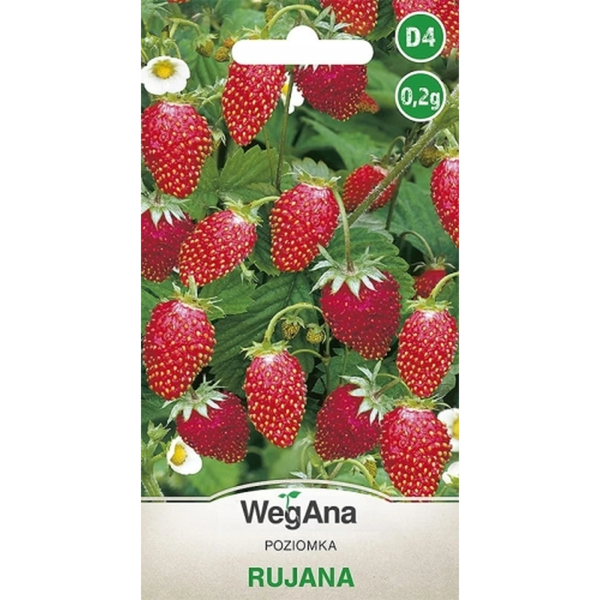 Ruja fresa silvestre semillas perenniales rojas 0,2g semillas de fresa vegetal VegAna