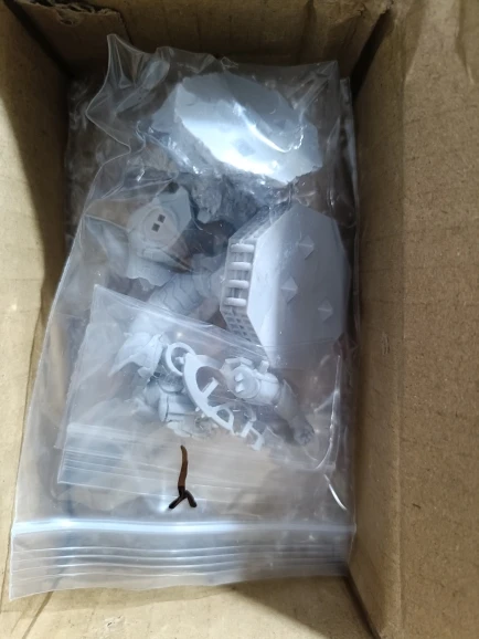 Buyer photo of this resin kit