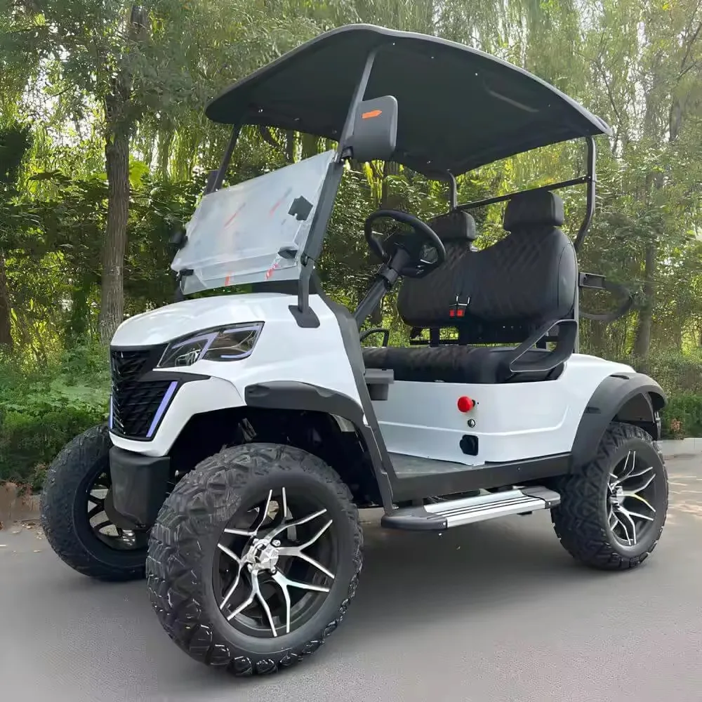 Golf Cart Factory Direct Sales 4 Wheel Drive 4000w Motor Golf Cart With Golf Bag Holder Buggy Car