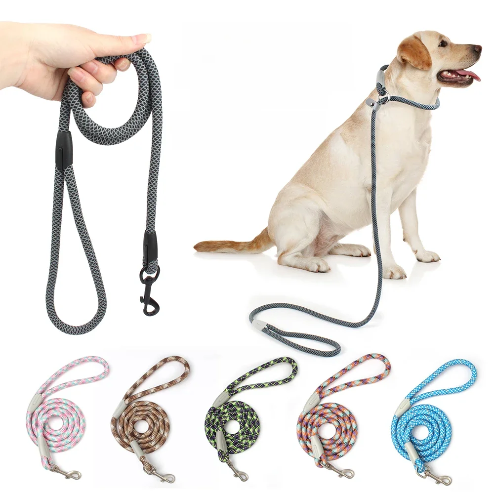 Klassisches Hunde halsband und Leinen, 2in 1, schwarzes Netz P-Seil, Nylon leine, verstellbarer