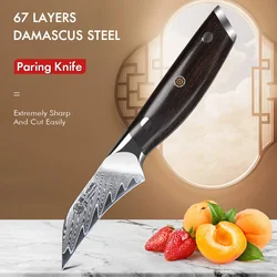 F.YOUNG 3.5 Inch Paring Knife Damascus Steel Chef Knife Sharp Utility Vegetable Peeling Fruit Peeler Utilities Kitchen Tools