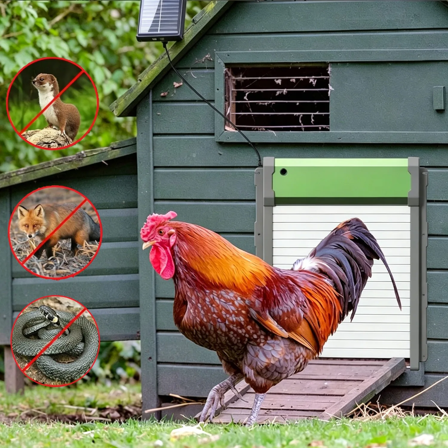 Porte de poulailler automatique à énergie solaire pour poulets, anti-pincement, télécommandée, avec minuterie et capteur