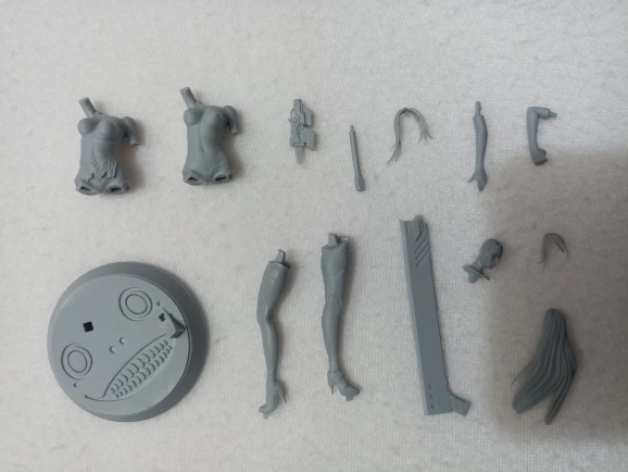 Buyer photo of this resin kit