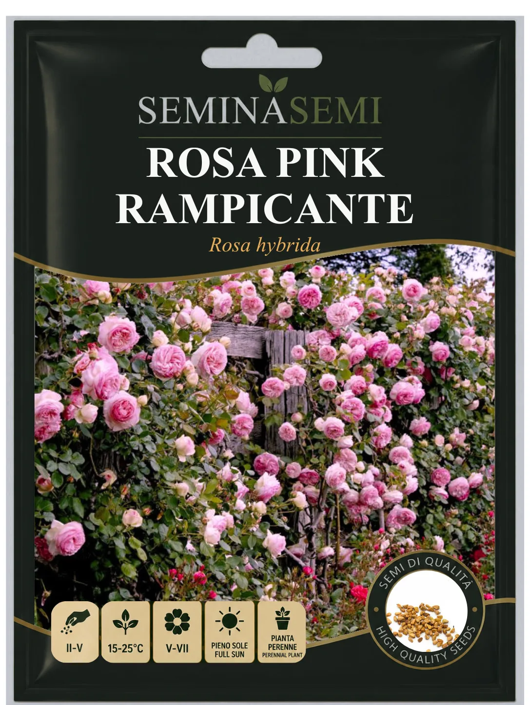 50 GRAINES DE ROSE "PINK RELATING" GRAINES FRAÎCHES, ENVELOPPE À FERMETURE ÉCLAIR