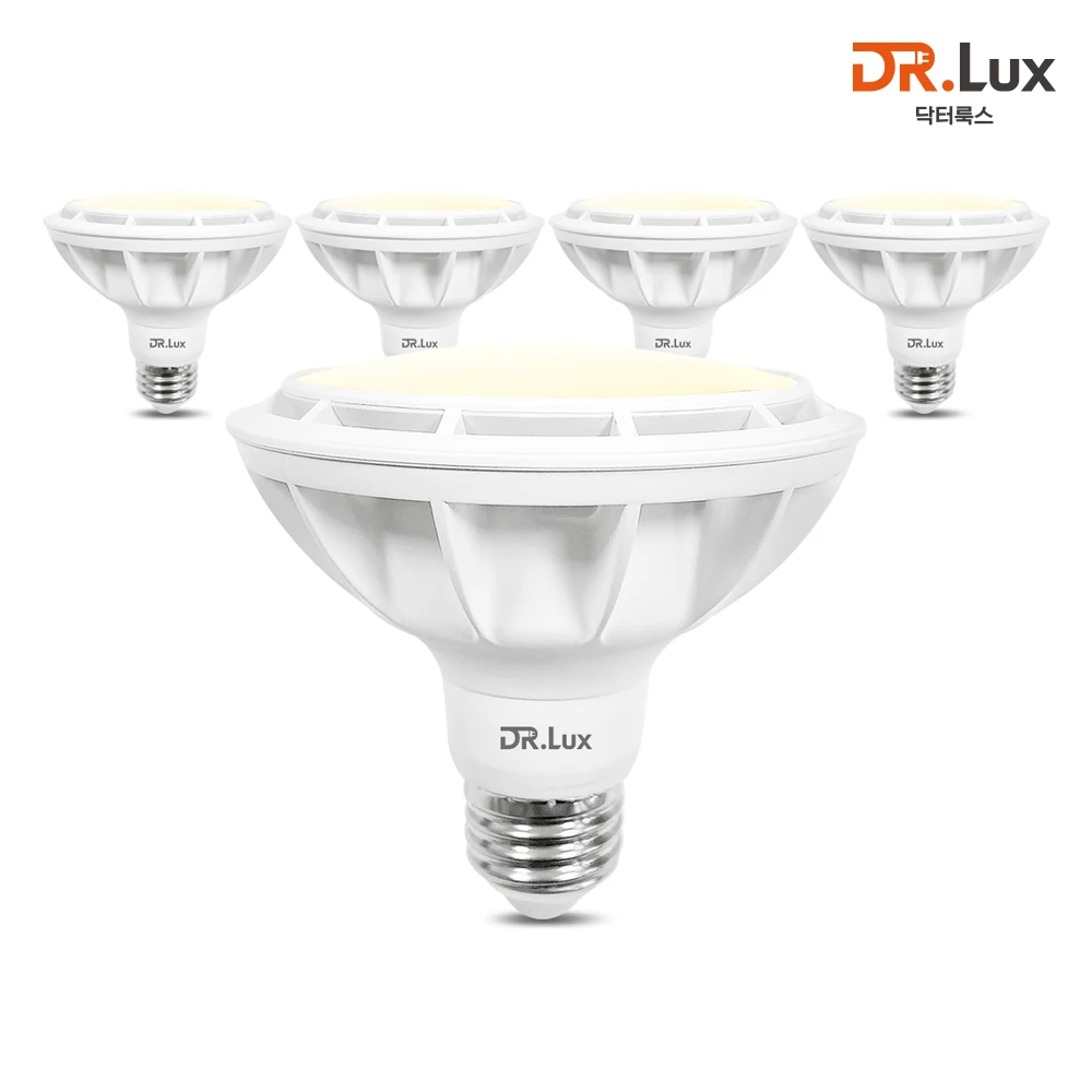 Dr. Brooks LED PAR30 15W diffused type