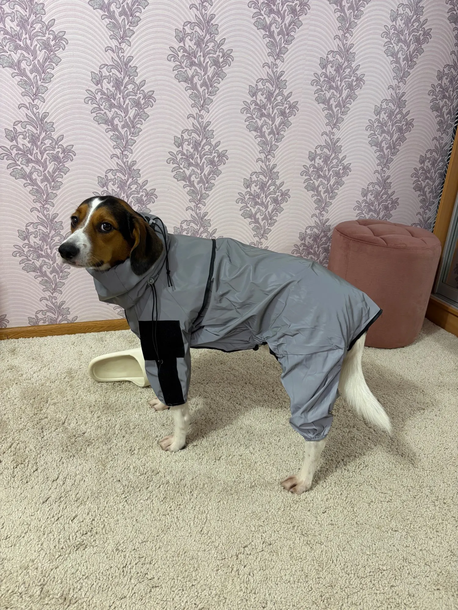 리뷰 사진