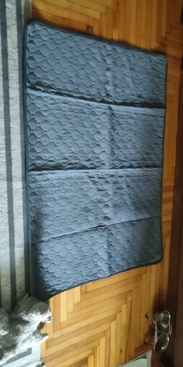 Customer review photo for Washable Reusable Dog Pee Pad