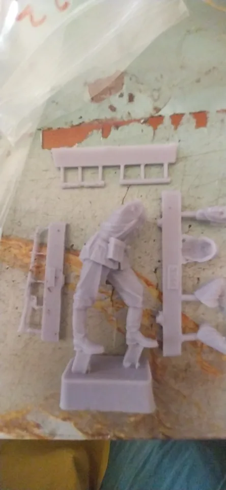 Buyer photo of this resin kit