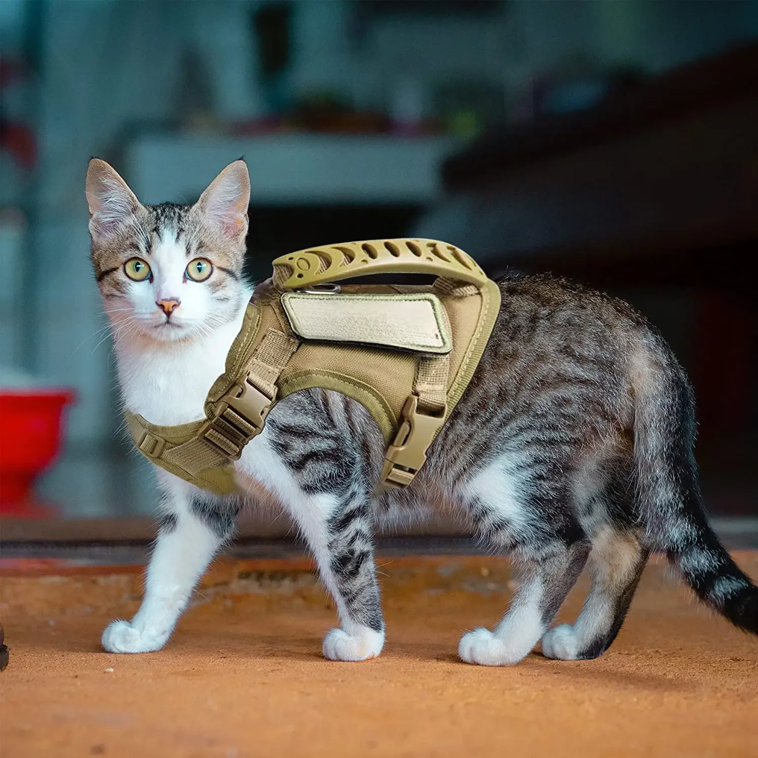 Tactisch kattentuig voor wandelen, ontsnappingsbestendig, verstelbaar huisdiervestharnas, zacht gaas met bedieningshandvat voor grote katten, kleine honden - afbeelding 2