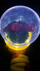Imagen de reseña 4