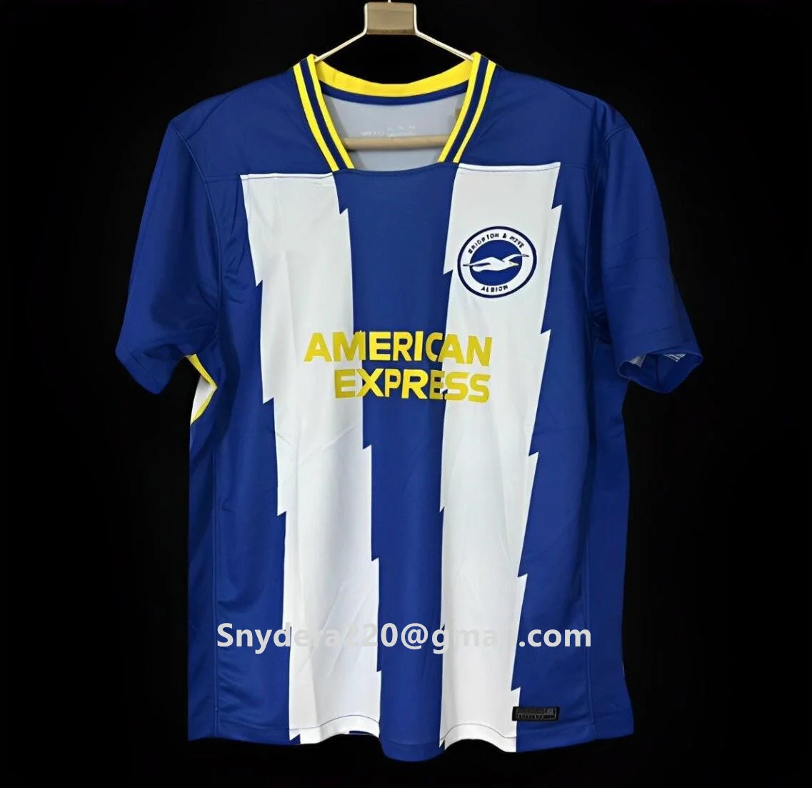 24/25 Brighton Home Camisetas de entrenamiento de ropa de secado rápido azul