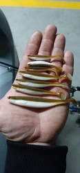 Imagen de reseña 1