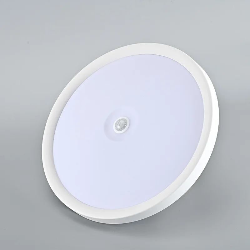 

LED Ceiling Lamp Intelligent Dual-Sensing Human Body and Light Sensing for Corridors Bathrooms Interior Ceiling Light Fixtures