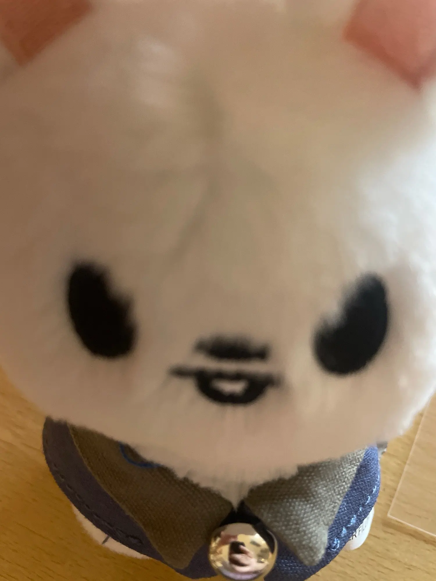 리뷰 사진