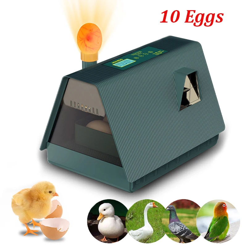 10 Eggs Incubator Automatic Chicken Hatching Machine Light Temperature Humidity Control Auto Turner Egg Hatchery Chicken Tool