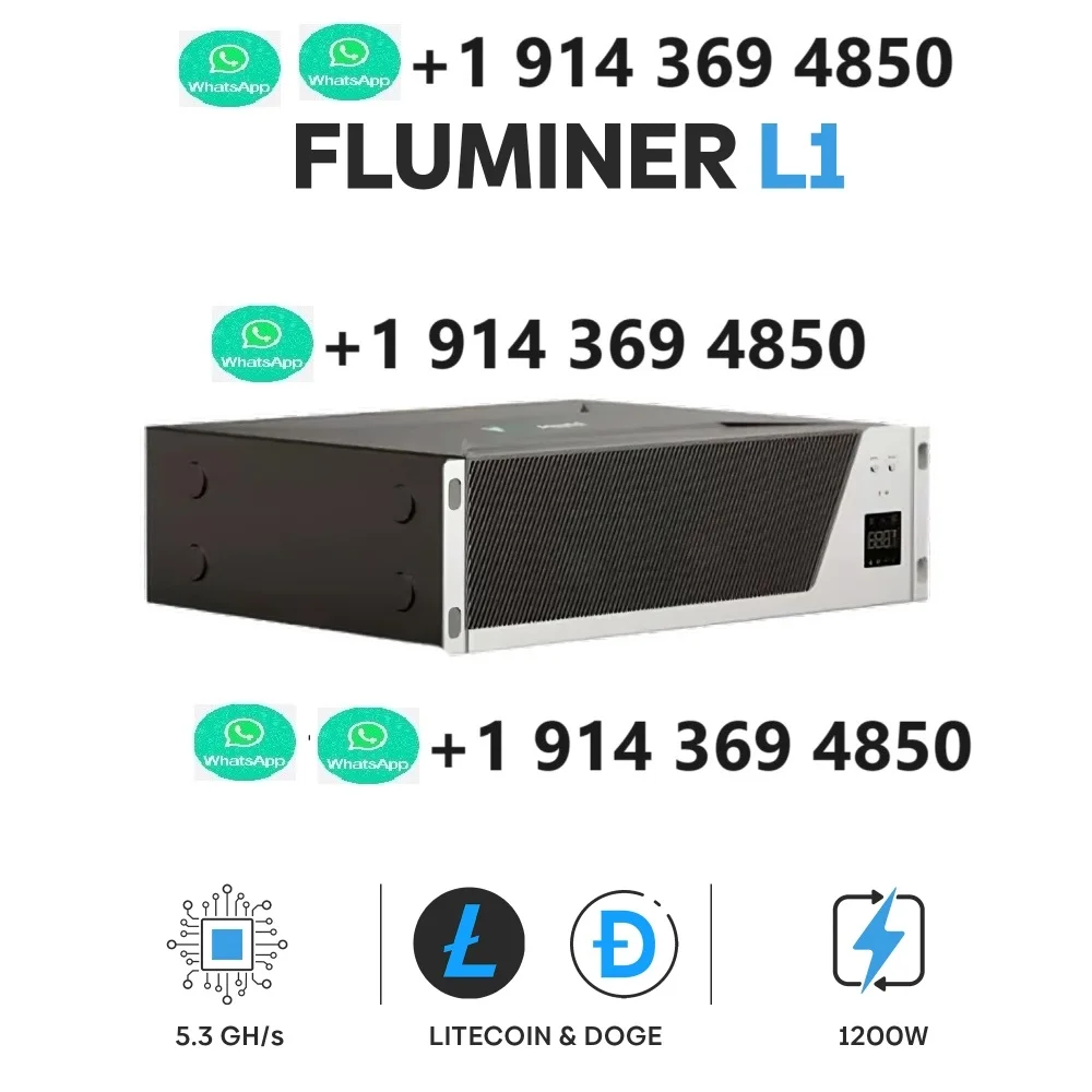 A1 AMAZING OFFER !! NEW Fluminer L1 5.3G 1200W DOGE /LTC/ BEL cion home miner